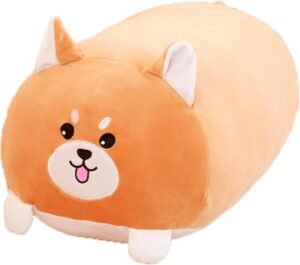 Chonk The Corgi