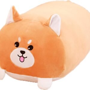 Chonk The Corgi