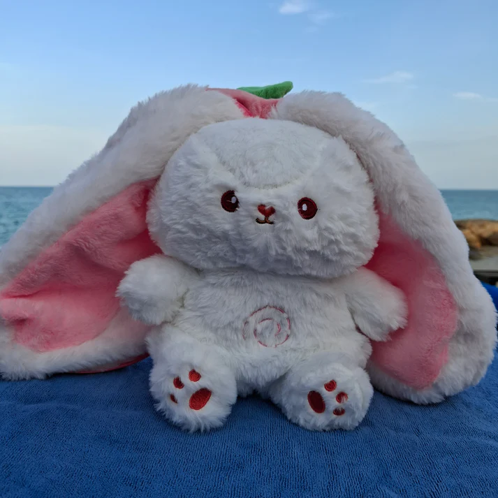 HIDDEN RABBIT - Image 2